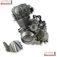 Moteur 250cc pour V-Raptor Skyteam Bilder 1