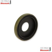 Cache Poussière de Bras Oscillant pour Skyteam VRaptor Bilder 2