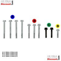 Kit de Vis de Culasse pour Quads Shineray 300STE - 300ST-4E Bilder 1 Kit de Vis de Culasse pour Quads Shineray 300STE - 300ST-4E Bilder 1