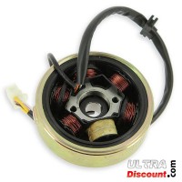 Allumage complet pour moteur Skyteam 125cc Bilder 1