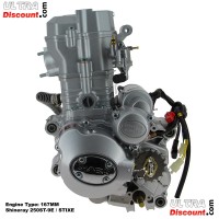 Moteur Complet 167MM pour Quads Shineray 250ST-9E-STIXE Bilder 2
