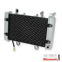 Radiateur complet quad Shineray 250cc Racing ST-9E Bilder 3
