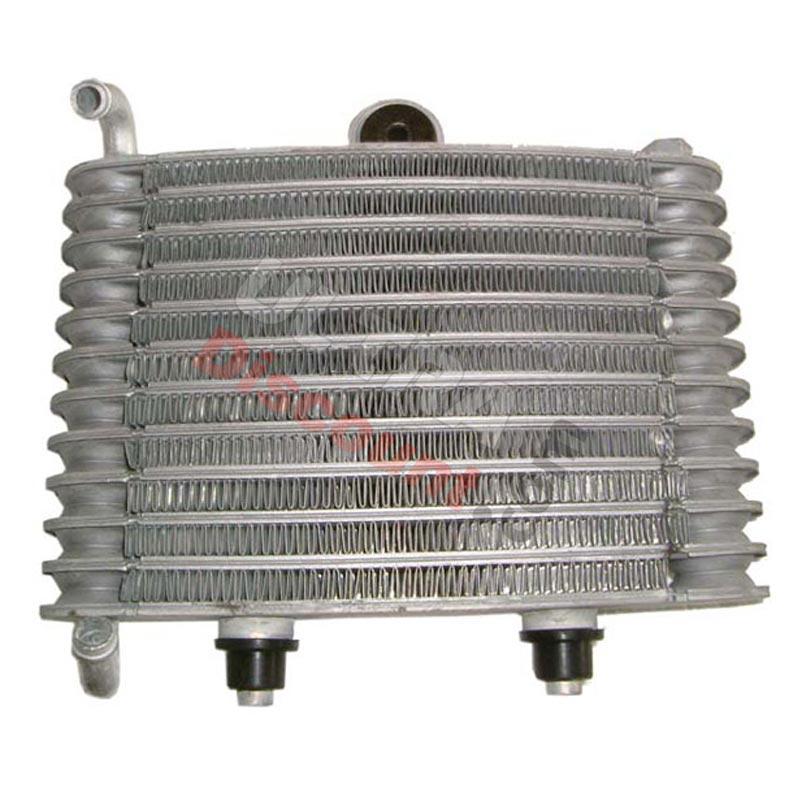Radiateur pour polini GP3, Pièces Polini 911 GP3 Radiateur pour polini GP3, Pièces Polini 911 GP3