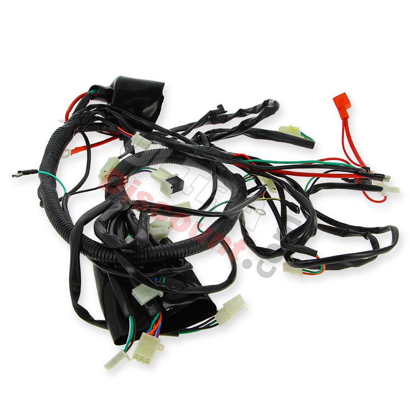 Faisceau électrique pour Quad Spy Racing 250 F1, Pièces Quad SPY250F1 Faisceau électrique pour Quad Spy Racing 250 F1, Pièces Quad SPY250F1