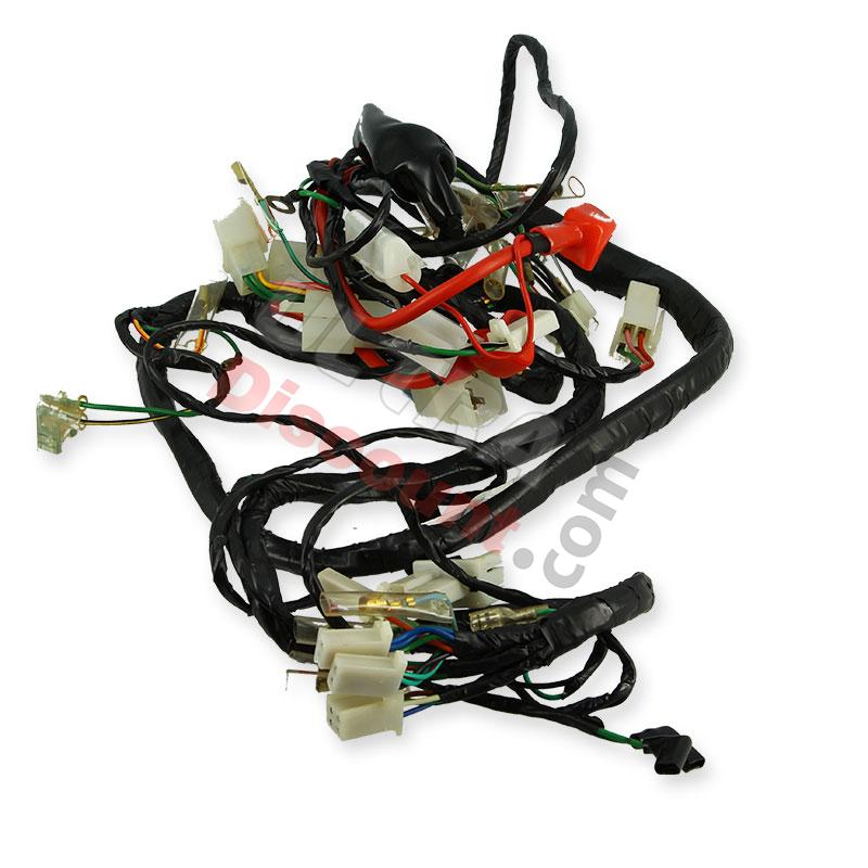 Faisceau Électrique pour Skyteam T-rex 50-125cc (avant 08-2014), Pièces Trex Skyteam