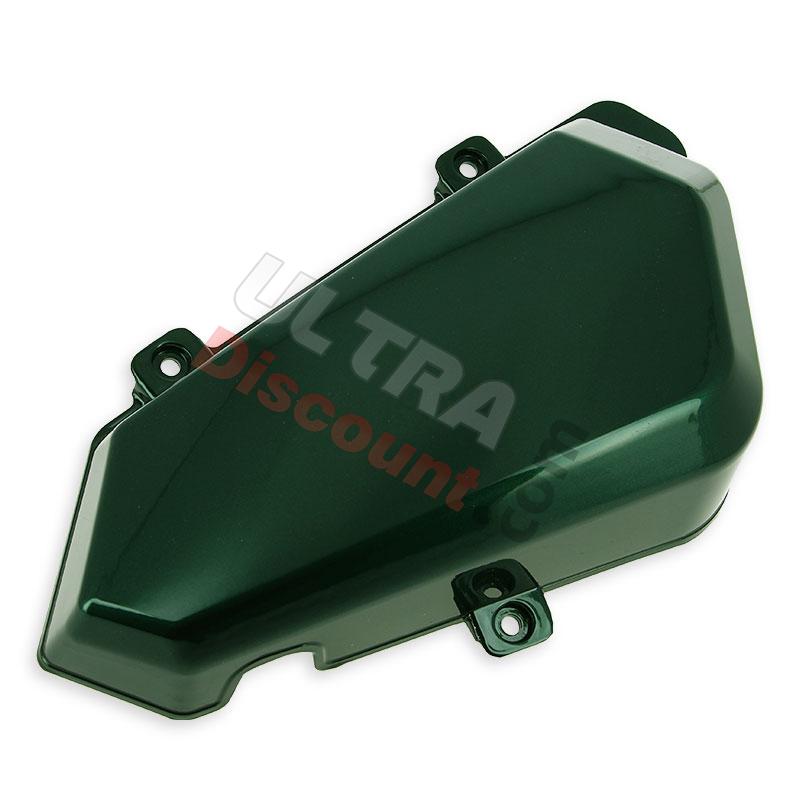 Carénage Gauche T-REX - VERT, Pièces Trex Skyteam