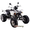 Quad 300cc Shineray XY300STE, Quad 200, 250cc, 300