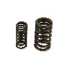 Ressorts de Soupape pour Quad Spy Racing 250 F3, Pièces Quad SPY250F3