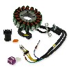 Stator d'allumage pour quad Shineray 250cc STXE (type2), Pièces Shineray 250 STXE