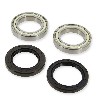 Jeu de roulements pour train arrière quad Shineray XY250STXE , Pièces Shineray 250 STXE