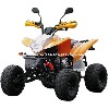 Quad Shineray, Quad 200, 250cc, 300
