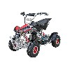 Pocket Quad 47cc, Pocket Quad