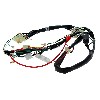 Faisceau Électrique 36610-17H01 pour Skymax 50cc ou 125cc (Avant 10-2015), Pièces Dax Skymax