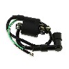 Bobine d'Allumage + Antiparasite pour Dirt Bike Type 1, Pieces Dirt Bike