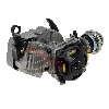 Moteur d'Origine Complet 49cc avec Cloche Noire pour Pocket Bikes, Pieces Bike Nitro