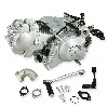 Moteur 125cc Complet 152FMI pour Dax Skyteam (SEMI AUTO - 6A), Pièces Dax Skymax