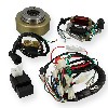 Allumage complet pour Quad 125cc Demarrage electrique, Pièces Quad 110cc - 125cc