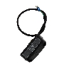 Éclairage de Plaque d'Immatriculation pour Quads Shineray 350ST-2, Pièces Shineray 350cc
