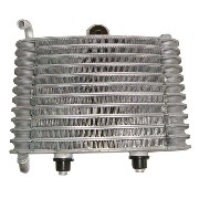 Radiateur pour polini GP3