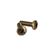 2 Vis de carénage M6x20 pour quad Shineray 250 STIXE ST9E