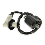 Bobine d'allumage quad Shineray 350cc (type2)