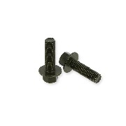 Paire de vis M8 25mm pour chassis Quad