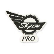 Autocollant SkyTeam Pro pour réservoir Skymini (droit)