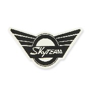 Autocollant SkyTeam pour Skymini (avant)