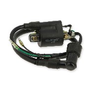 Bobine d'allumage pour Monkey Gorilla Skyteam (type 3)