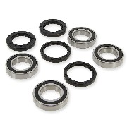 Jeu de roulements pour train arrière quad Shineray XY250ST-9E 