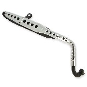 Pot d'échappement pour Dax Skyteam Skymax 125cc Euro5