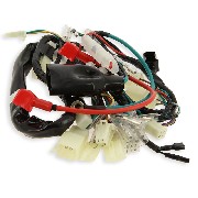Faisceau Électrique pour Skymini Skyteam 50cc EURO5