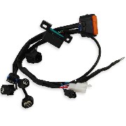 Cable de connexion 1 pour Unité de commande pour Skymini-Skybongo Skyteam EURO5