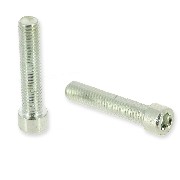 Paire de vis M8 38mm pour chassis Quad (chrome)