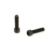 Paire de vis M4 20mm