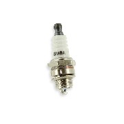 Bougie BPM6A pour moteur de pocket supermotard d'origine