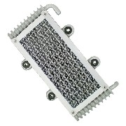 Radiateur d'huile pour Quad Bashan 300cc (BS300S-18)