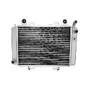 Radiateur pour quad Shineray 300cc ST-5E