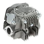 Culasse dirt bike 140cc 1P55FMJ + Capots (Lifan)