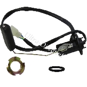 jauge de niveau d'essence scooter Baotian  BT49QT-9