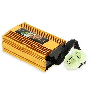 CDI dirt Bike 250cc Racing Casoli