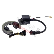 Allumage pour Pocket Polini GP3 Liquide