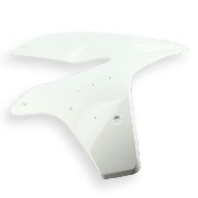 Carénage de Réservoir Droit pour Quads Shineray 250STXE - BLANC