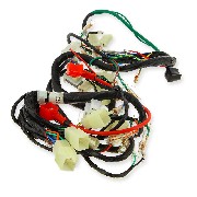 Faisceau Électrique pour Skyteam Ace Euro4 (après 10-2015)