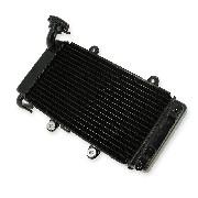 Radiateur pour Bashan 250cc BS250AS-43