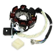 Stator d'allumage pour quad Bashan 250cc (BS250S-11)