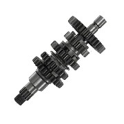Pignonerie de boite a vitesse Quad Bashan 300cc BS300S-18 (type 2)