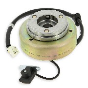 Allumage complet pour moteur Skyteam 50cc