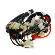 Faisceau Électrique pour Dax Skyteam Skymax 50cc à 125cc EURO4 (après 09-2017)