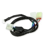 Cable de connexion 2 pour Unité de commande moteur pour Trex Skyteam 50-125cc EURO4